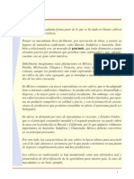 Cultico de Macadamia PDF