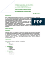 Identificacion Bacteriana I