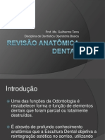 Anatomia Dental