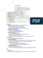 Blood Supply To Femoral Head