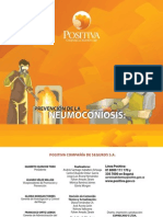 Prevencion de Neumoconiosis