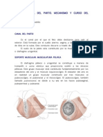 Apuntes Tema 8. Canal y Curso Del Parto