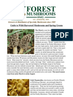 Guide To Wild-Harvested Mushrooms and Spring Greens: The Morel Is One The Most Popular and