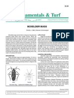 Ornamentals & Turf