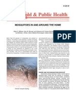 Household & Public Health