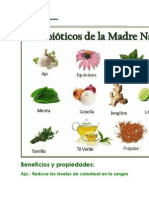 Antibiòticos de La Madre Naturaleza