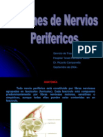 Lesionesdenerviosperifericos 100727225449 Phpapp02