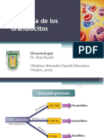 Fisiología de Los Granulocitos.