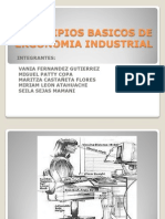 Principios Basicos de Ergonomia Industrial