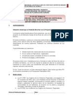 Plan de Trabajo de Instalación de Flores en El Distrito de Molinos