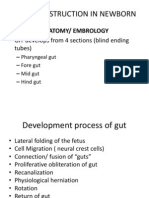 Bowel Obstruction in Newborn: Anatomy/ Embrology