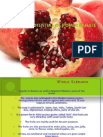 Xport Potential OF Pomegranate