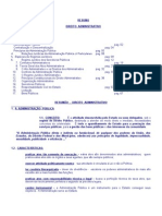 RESUMO - Dto Administrativo