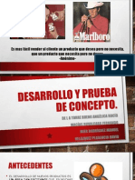 Desarrollo y Pruebas de Concepto o Producto