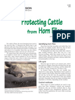 Protecting Cattle From Horn Flies