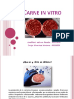 Presentacion-Carne in Vitro