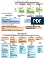 Mapa Conceptual Plan 2011