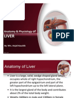 Anatomy & Physiology of Liver by Anjali