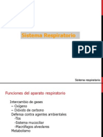 Presentacion Sistema Respiratorio (1)