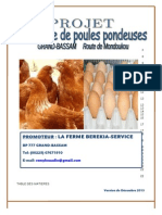 Plan D'affaires Elevage Pondeuses