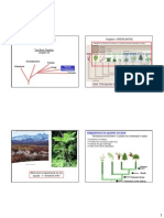 Plant Diversity: Kingdom: Viridiplantae