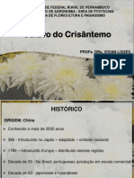 Aula Crisantemo