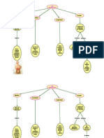 Mapas de Conceptos Nutrición