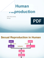 Human Reproduction PDF