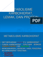 METABOLISME Karbohidrat Lemak Protein