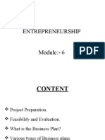 Entrepreneurship (Module 6)