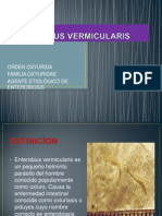 Oxiuros Diapositiva