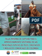 Tallas Mínimas de Captura de Las Principales Especies de Peces, Crustáceos y Moluscos Comerciales de Colombia-2013