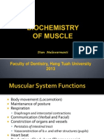 Biochemistry of Muscle