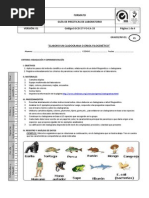 Praxis 5 Cladograma o Arbol Filogenetico