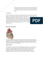 Enzimas Cardiacas