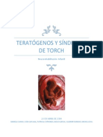 TERATÓGENOS Y SÍNDROME DE TORCHh