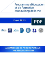 SKILLS Pieds de Poteaux FR PDF