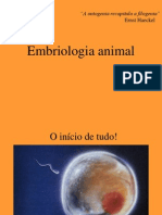 Embriologia Animal