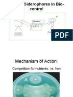 Role of Siderophores in Bio-Control