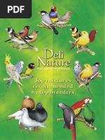 Deli Nature - Eng GV