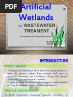 Artificial Wetlands: Wastewater Treament