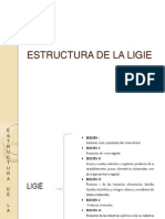 Ligie Estructura