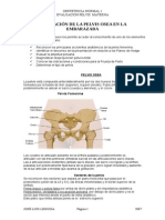 1207664938.evaluación de La Pelvis Materna