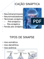 COMUNICAÇÃO SINÁPTICA e CÉLULAS DA GLIA