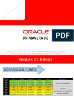 Primavera p6