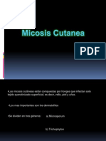 Micosis Cutanea