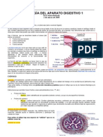 Histologia AP. Digestivo 1 - 02 de Marzo