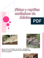 Anfibios y Reptiles Endemicos de Mexico