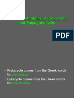 Prokaryotic & Eukaryotic Cells - 3