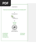 Firstenergy SIP Report